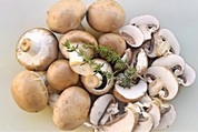 mushrooms-4510369__340.jpg